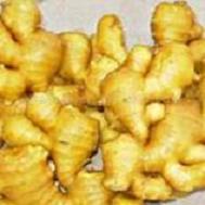 Global B2B directory Global trade lead